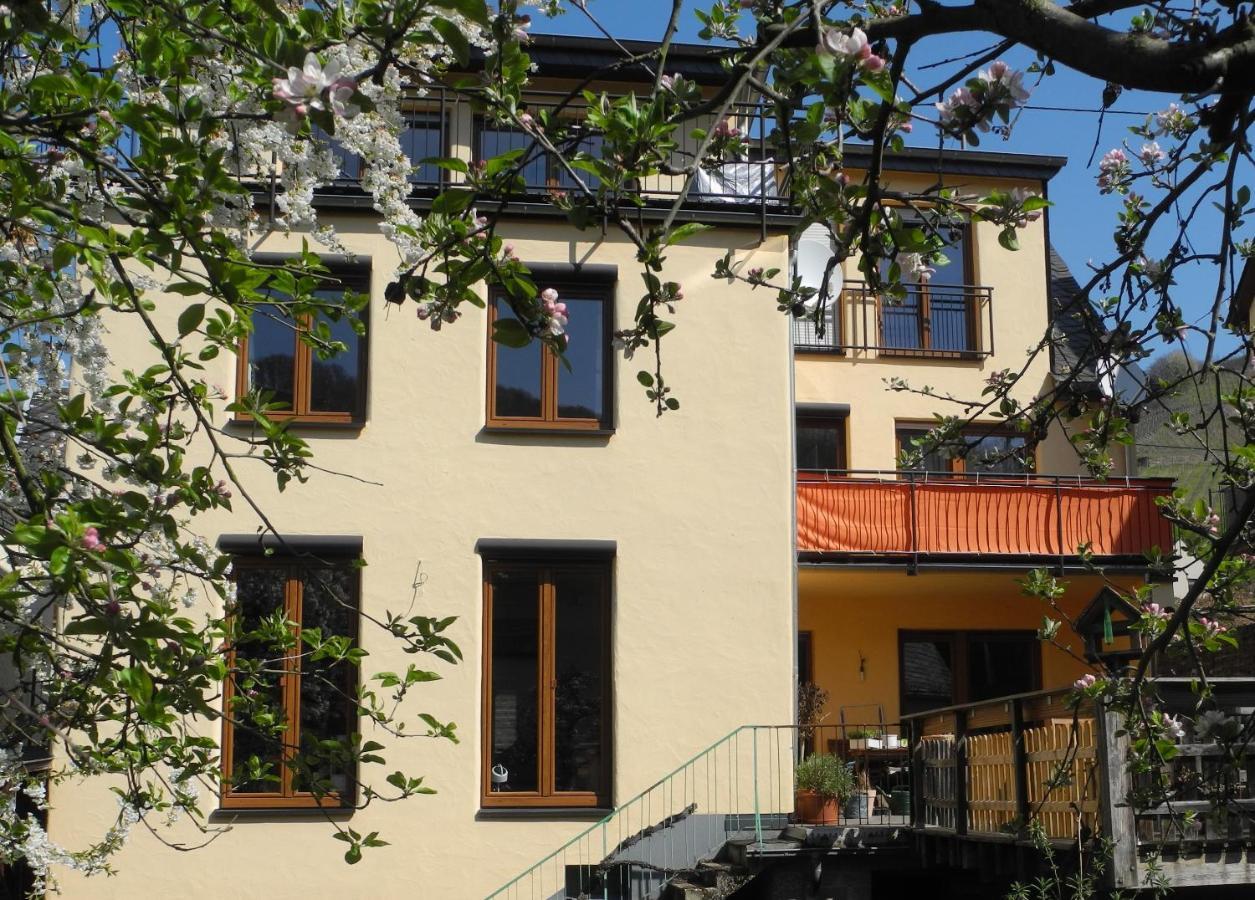 Ferienwohnung Ellebett Müden Esterno foto